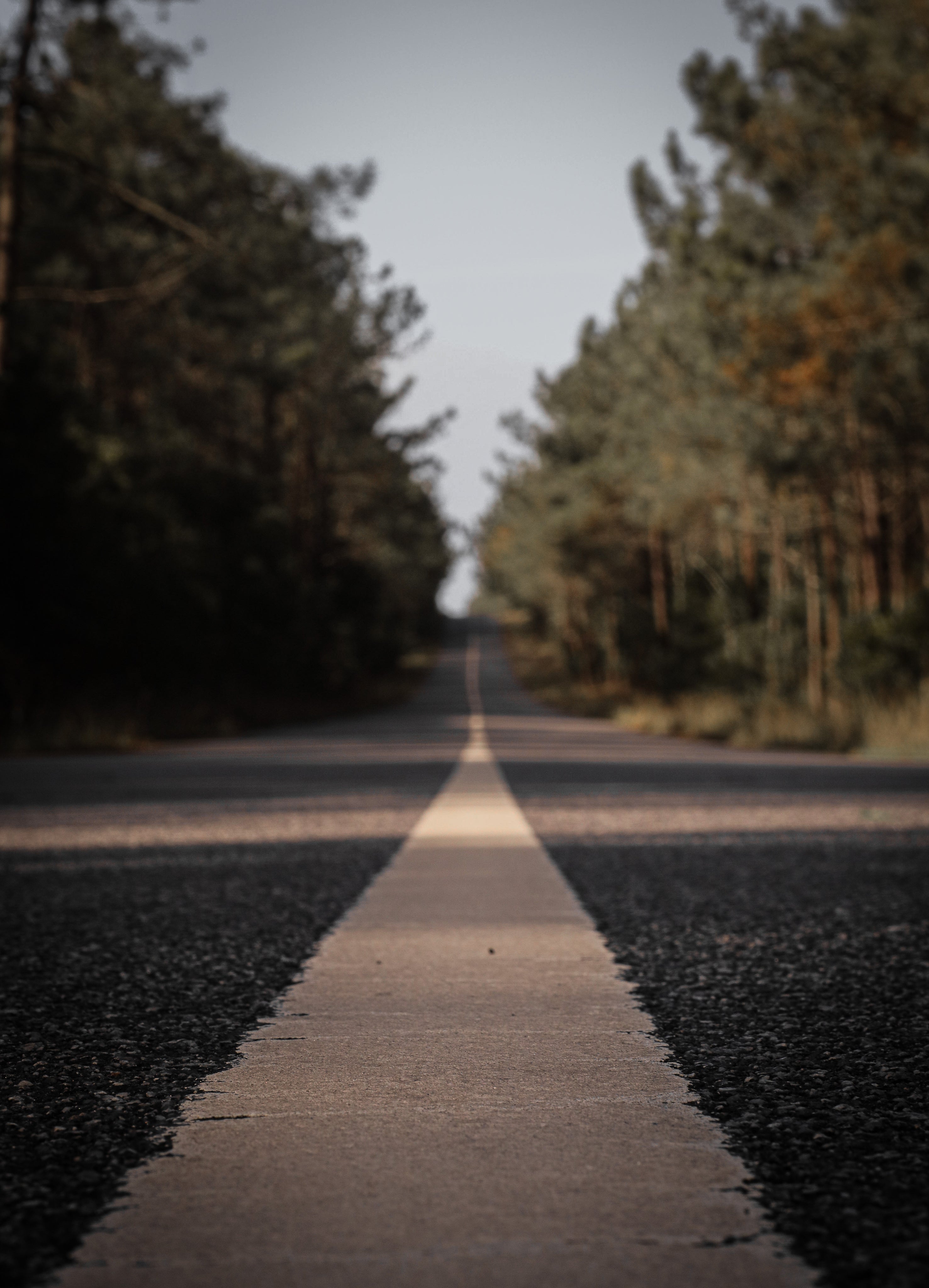 look-down-the-white-line-of-a-paved-road.jpg